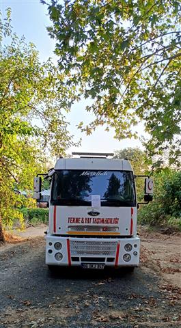 Bambus 7 (3) (Small)