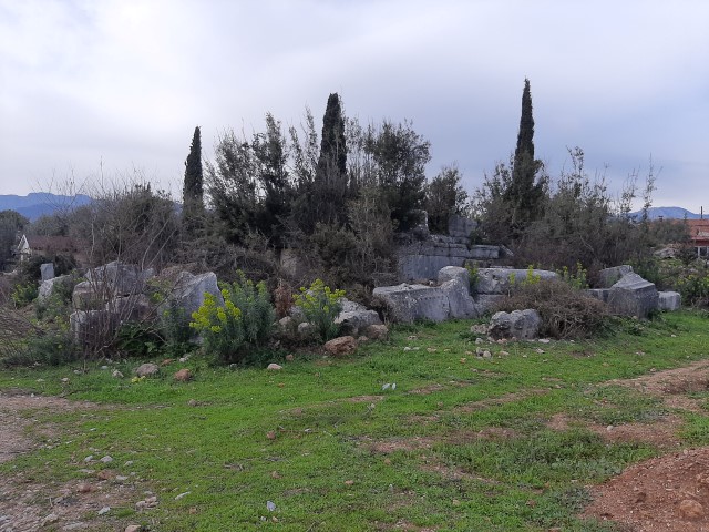 Eudokias (3) (Small)