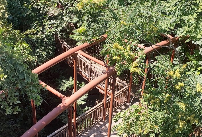 Kadınyarı (8)