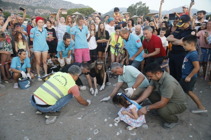 Kemer Cirali Caretta (2) (Small)
