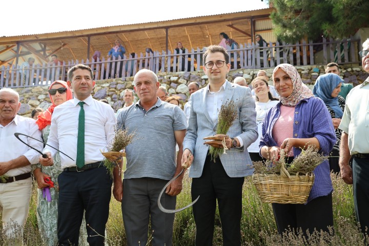 Lavanta Hasadı Yapıldı (2)