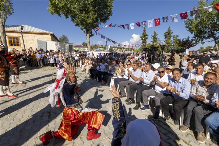 Mor Mersin (1) (Small)