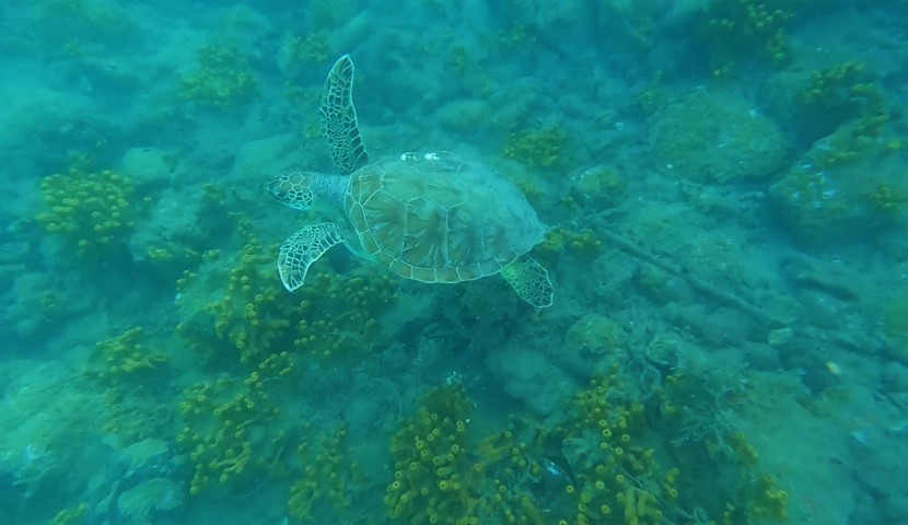 Muğla Derin Suları (5)