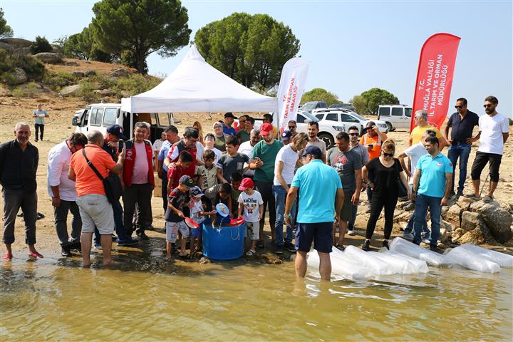 Muğla Proje (2) (Small)