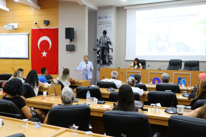 Sahipsiz Hayvanlar Sorunu Çözüm Yolu Toplantıları (18) (Small)
