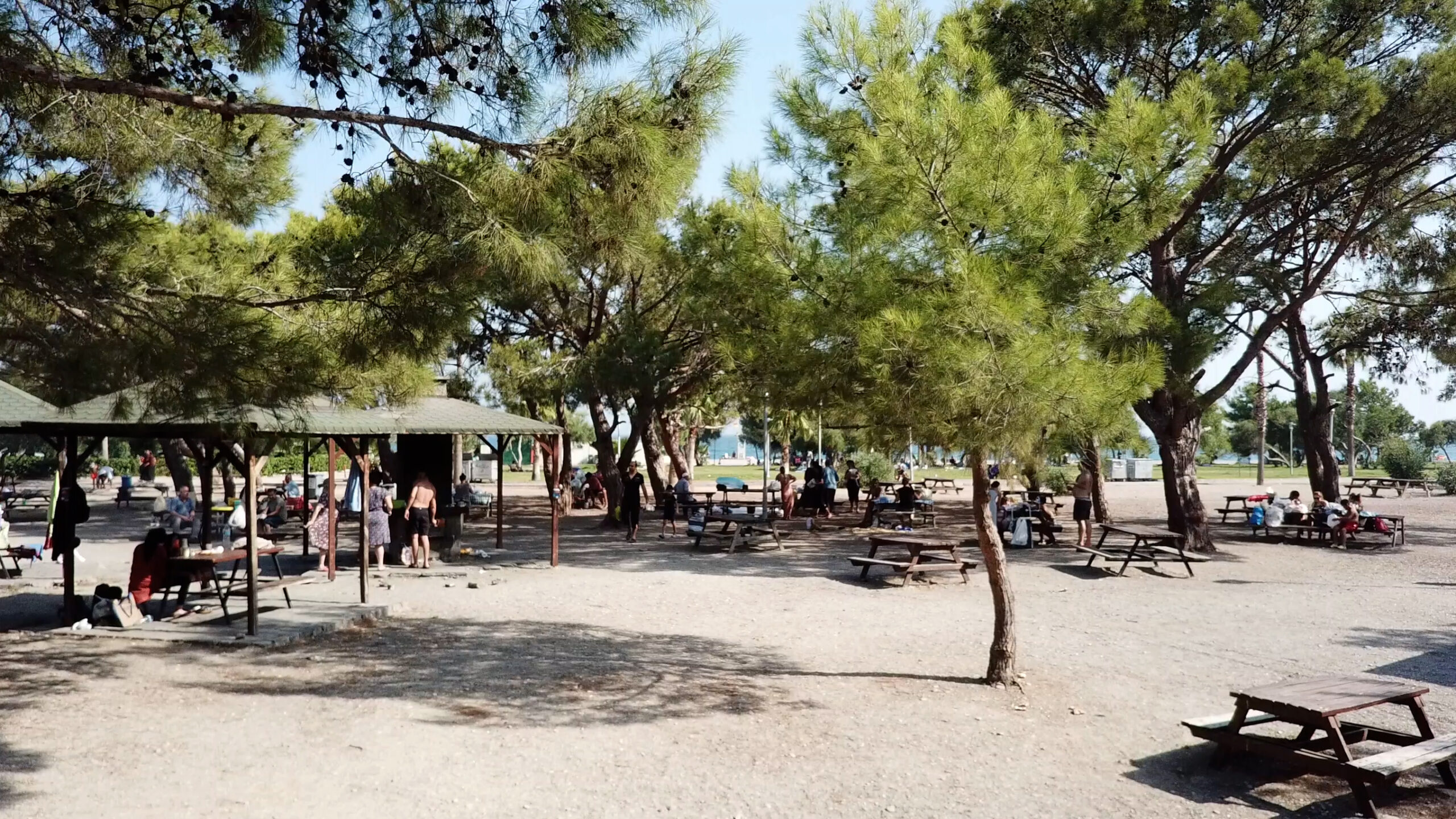 Sarısu Ihalesi (2)