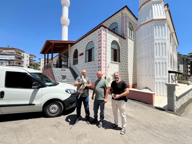 Serik Yaralı Leylek (2) (Small)
