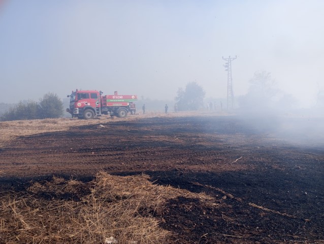 Yangın Orman Serik (2)