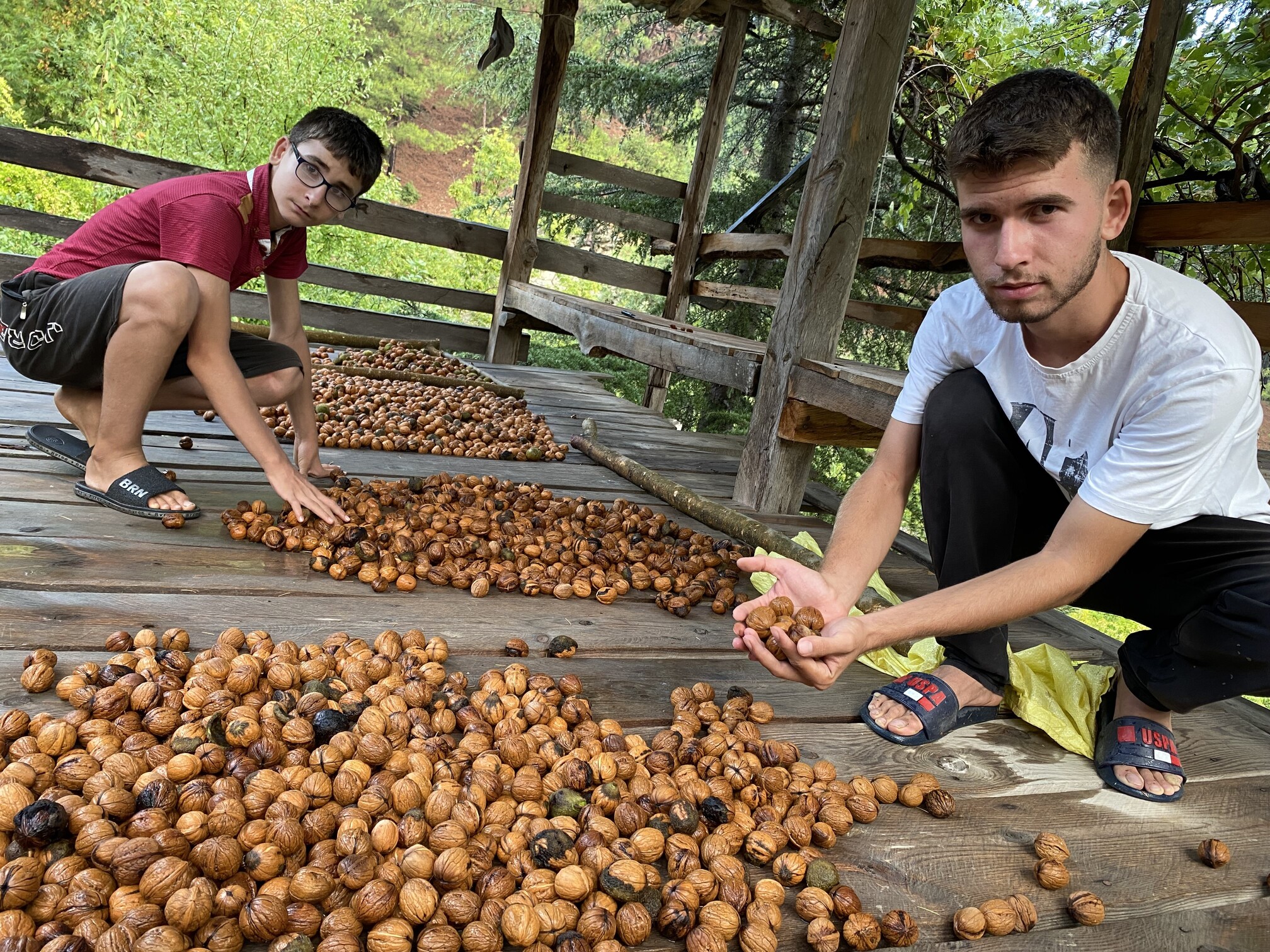 Adanada Hasat Başladı (3)