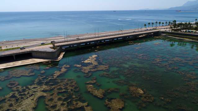 Antalya Boğaçayı (8)