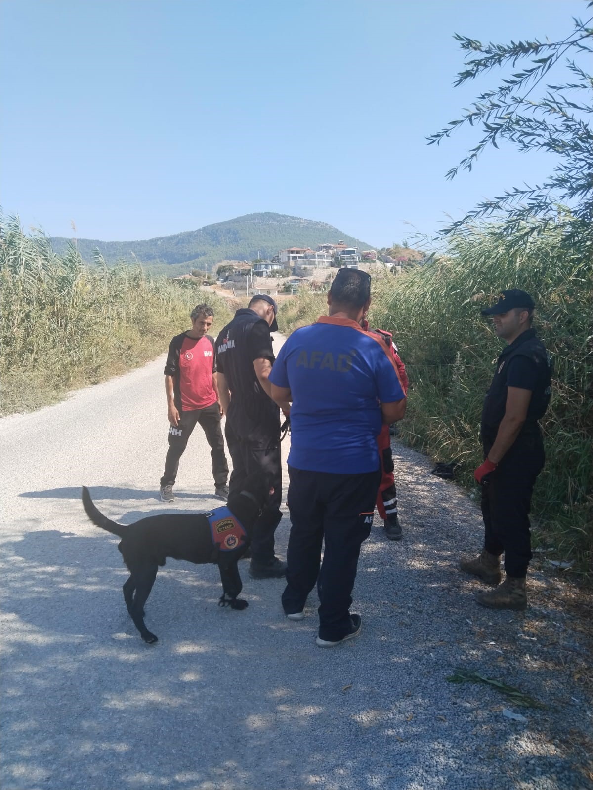 Kayıp (4)
