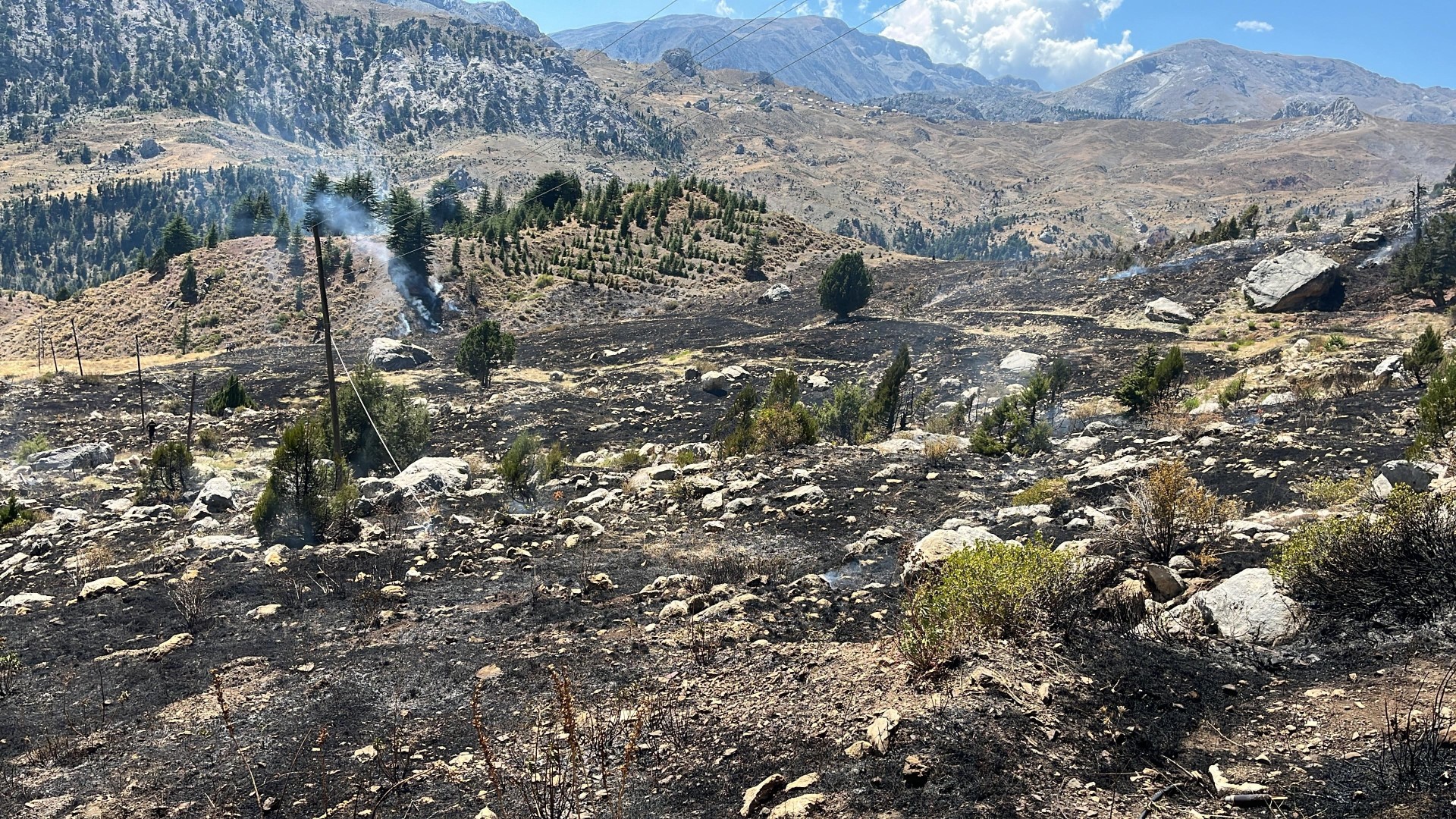Orman Yangını (2)-1