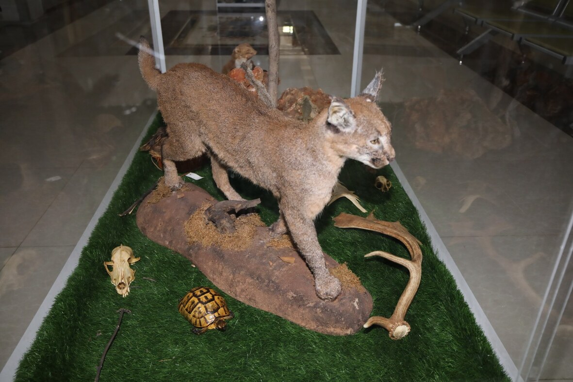 Vahşi Doğa (3)