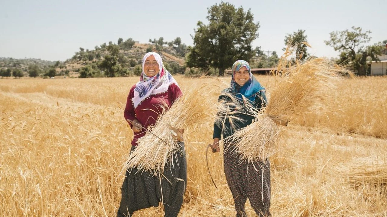 Mersin Buyuksehir Belediyesi Binlerce Kadini Tarimla Bulusturdu