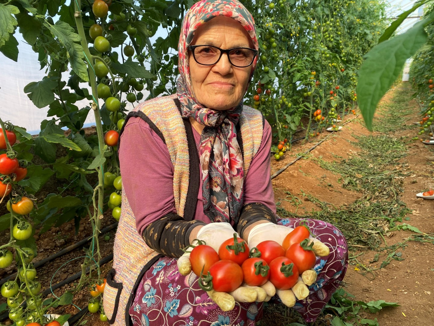 Cefakar Ana (4)