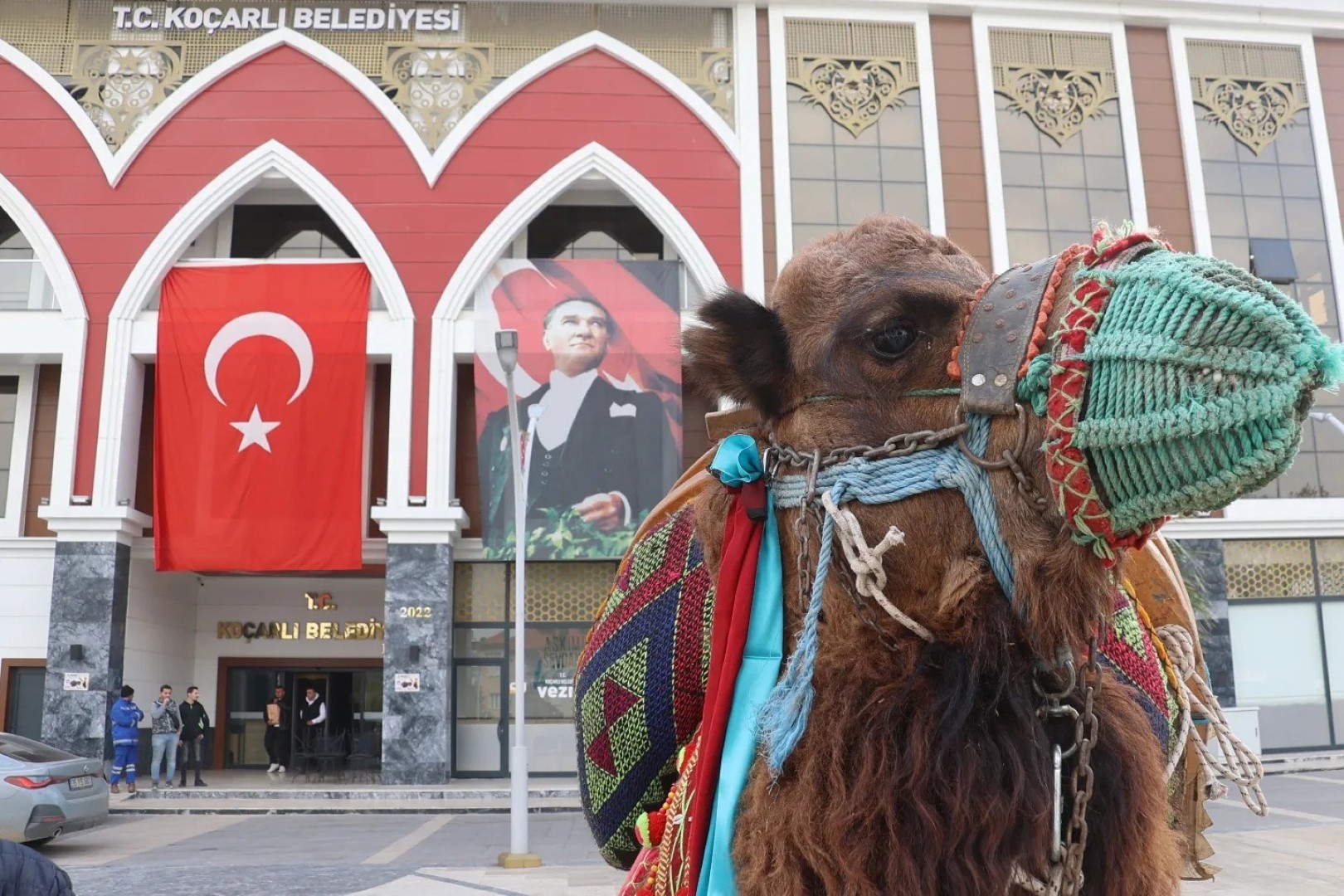 Koçarlı (1)