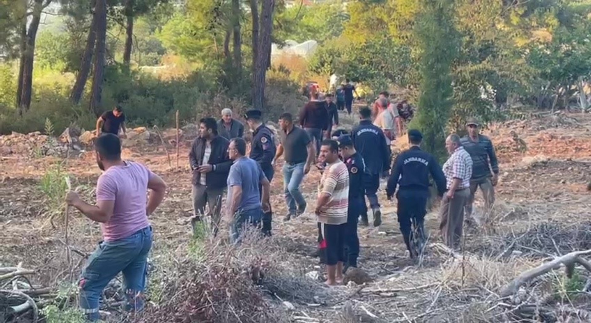 Ormanlık Alana Düştü (5)