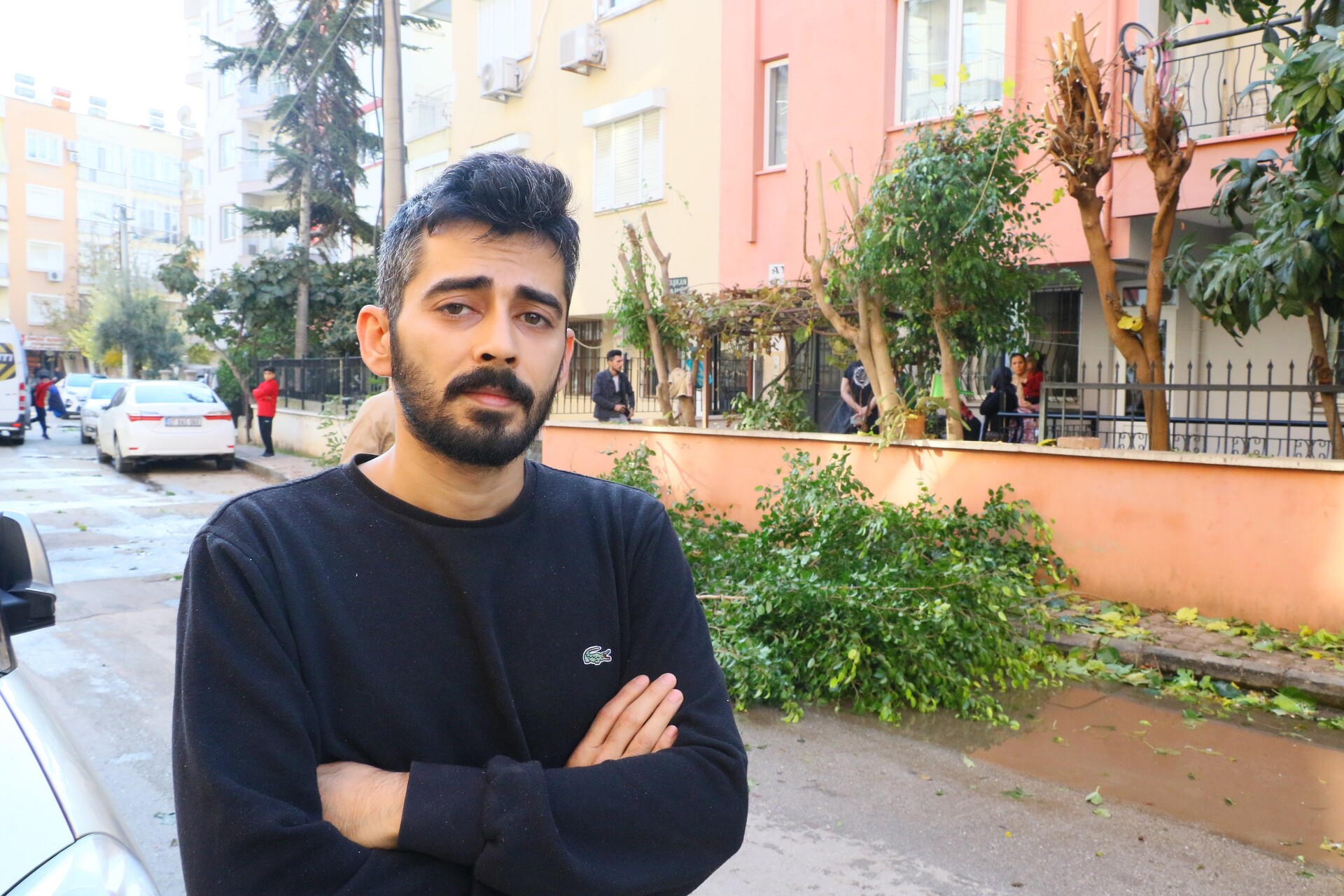 Ağaç Budama (2)