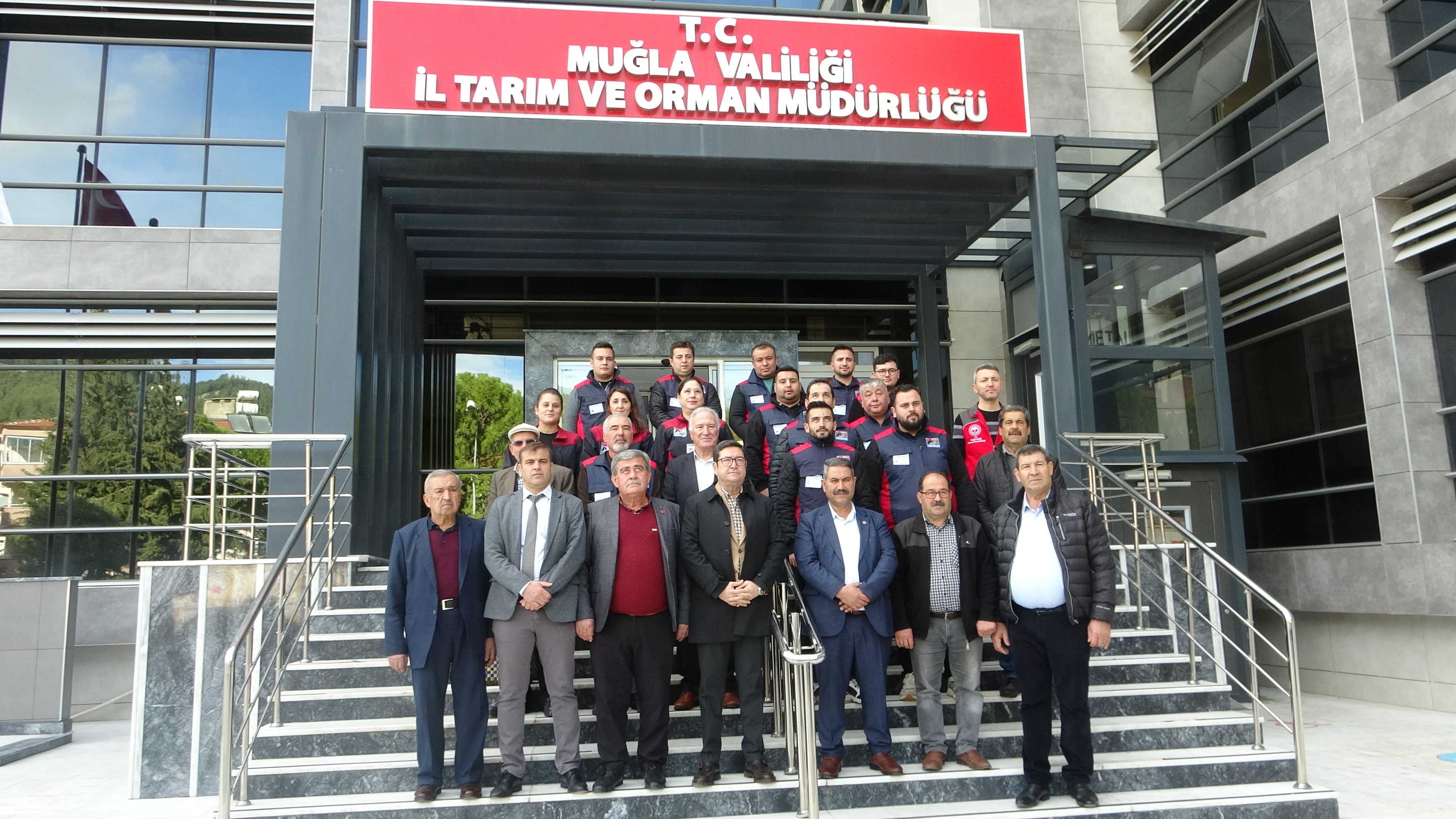 Büyükbaş Hayvancılık (1)