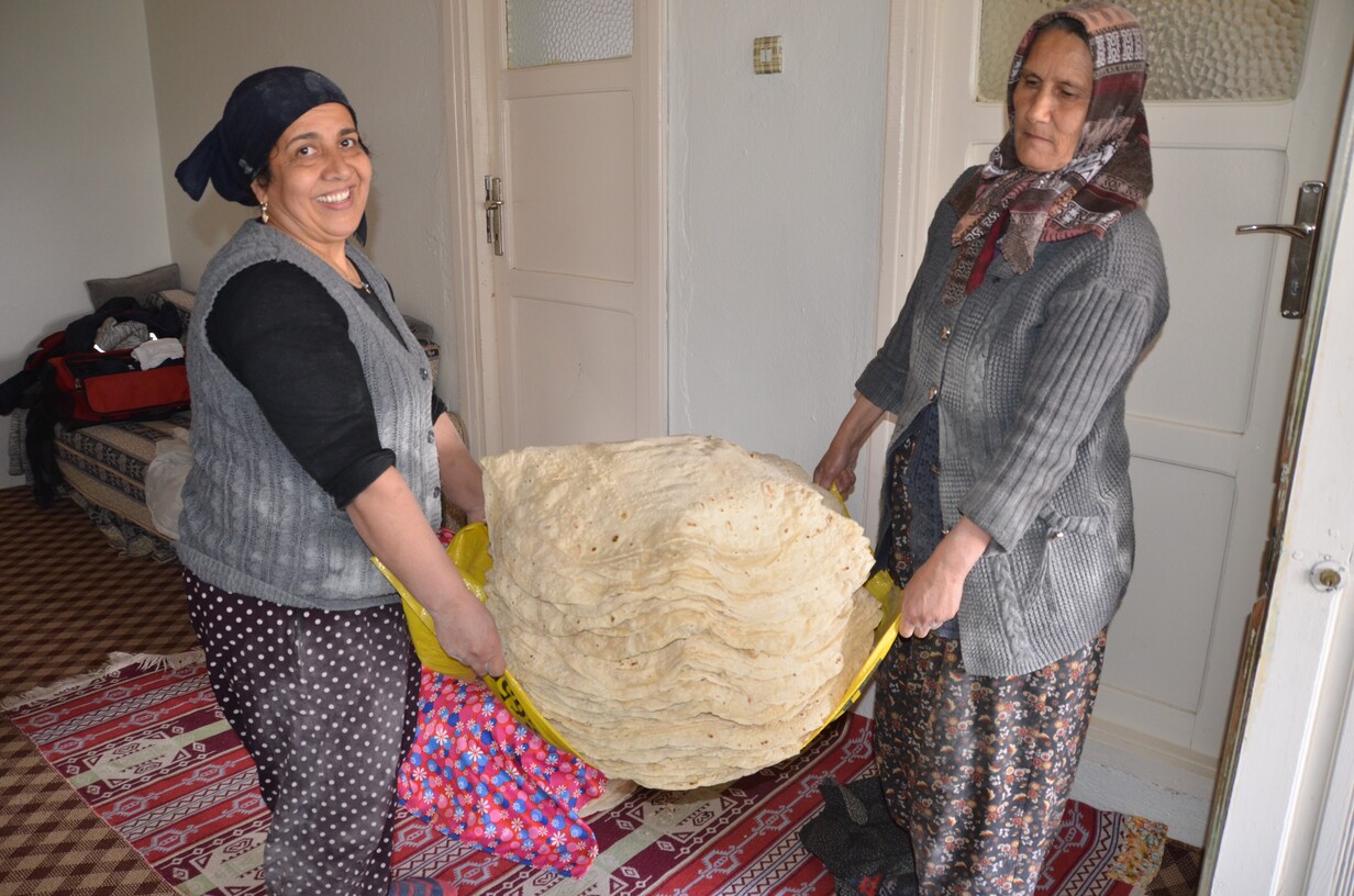 Ev Hanımı (3)
