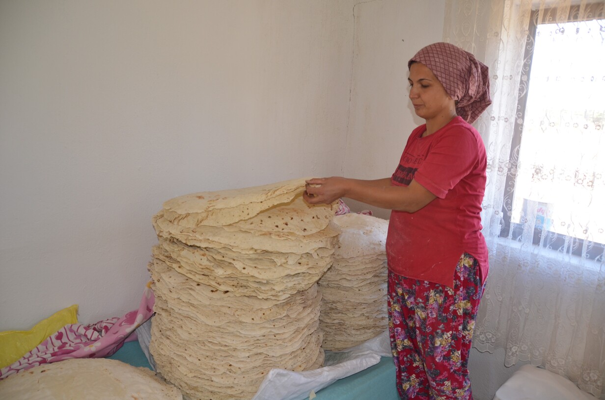 Ev Hanımı (6)