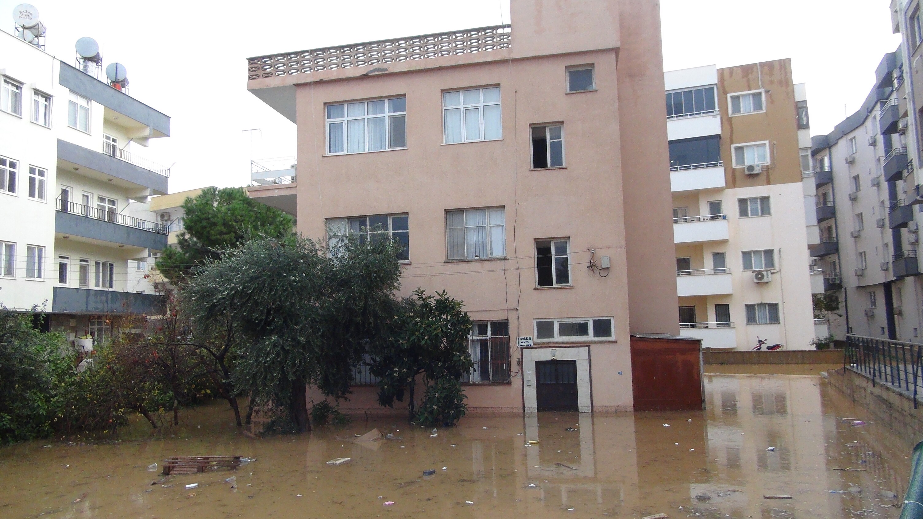 Mersin Akkuyu (2)