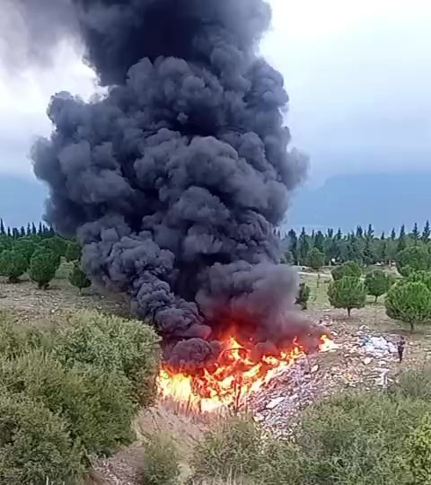 Orman Yangını (2)-2