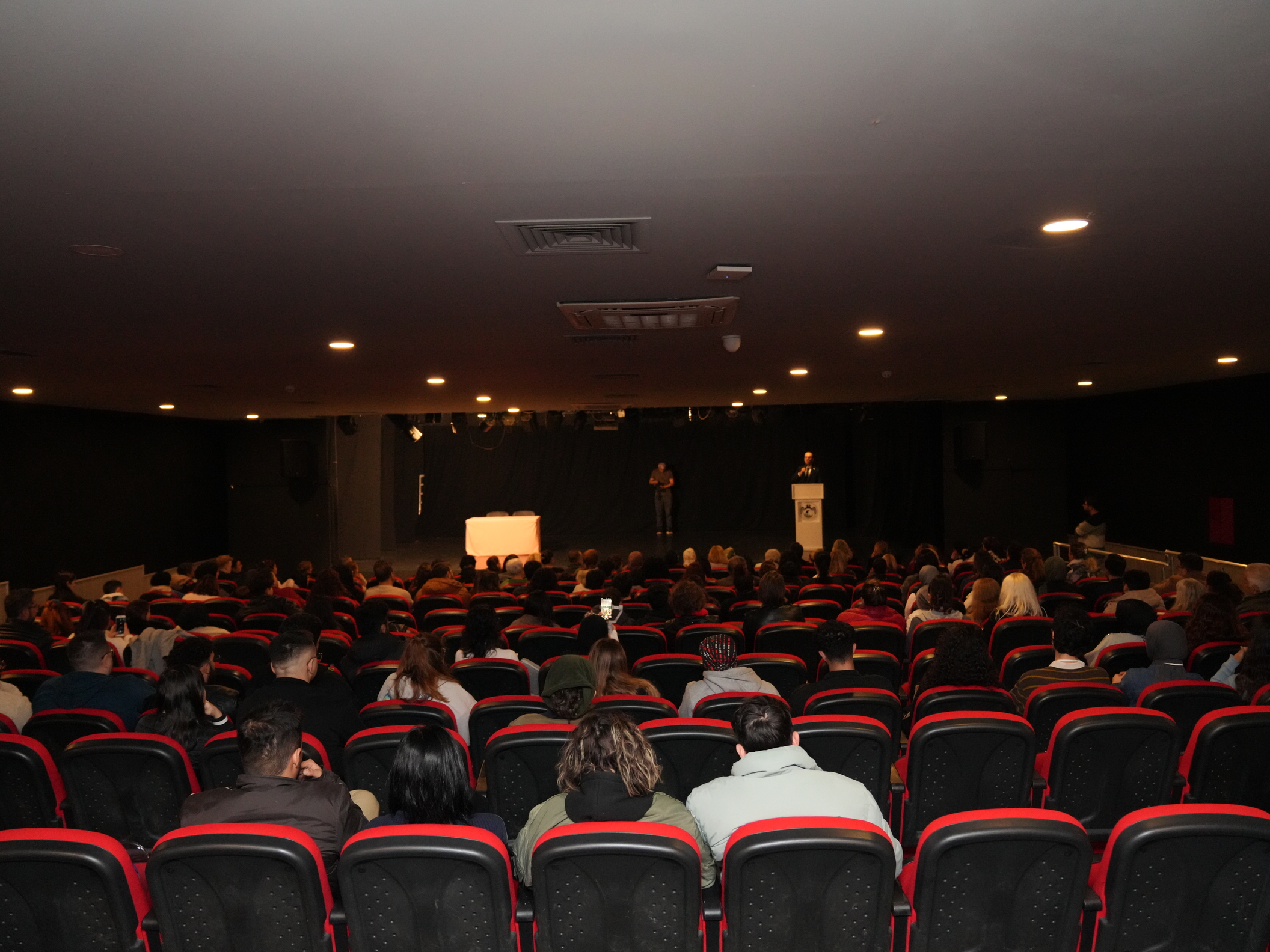 Sokak Hayvanları (1)-3