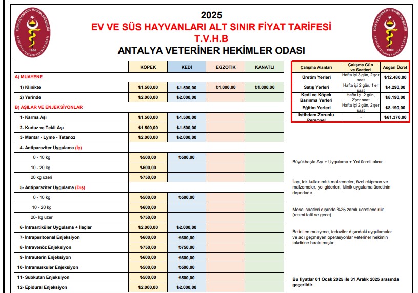 Hayvan Sahiplenmek Eziyet Oldu… Fiyatları Görenler Inanamadı (1)