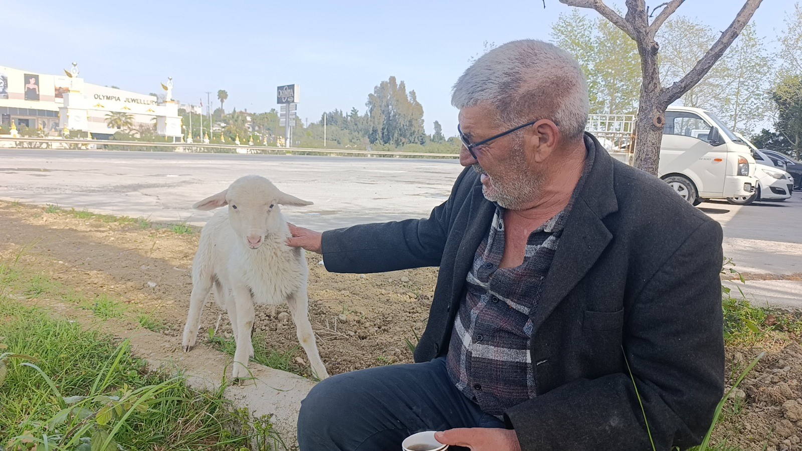 Annesinin Sütü Yetmeyince Biberonla Beslenen Yavru Kuzu Sahibinin Peşinden Ayrılmıyor (5)