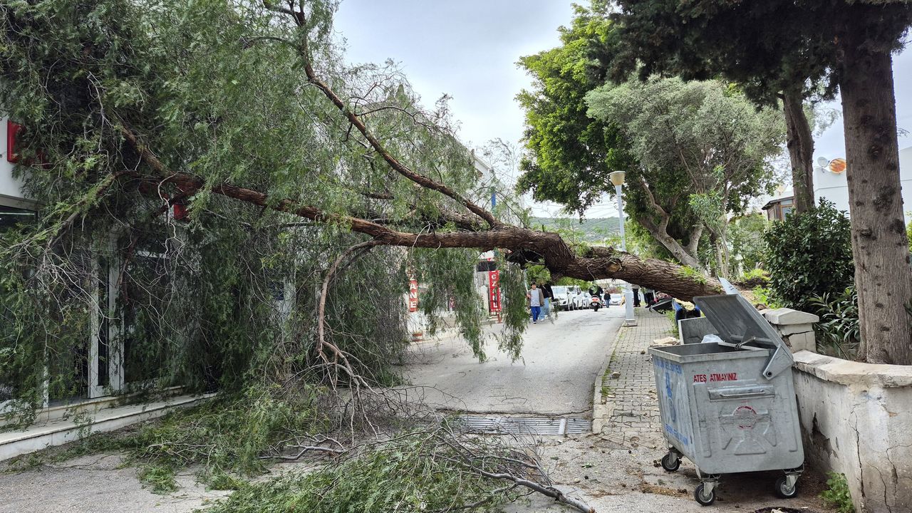 Bodrum Firtina (2)