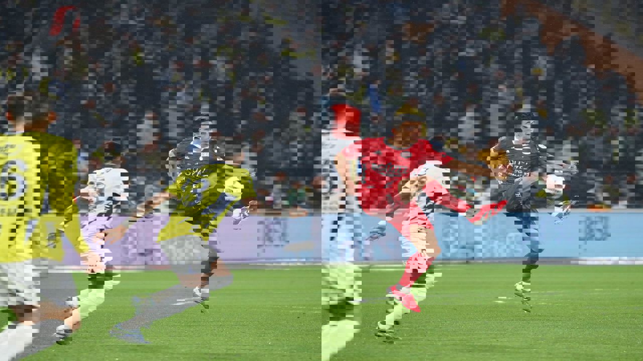 Fenerbahce Antalyasor (5)