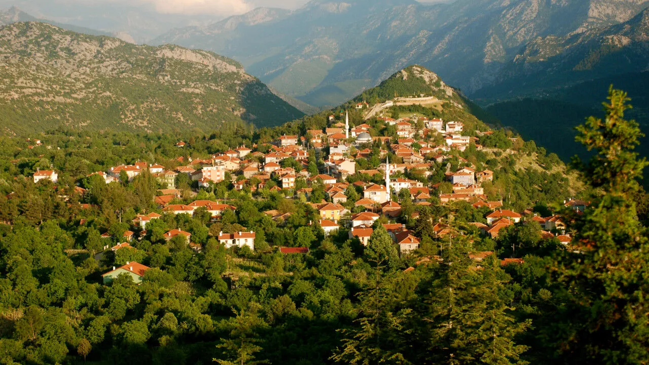 Ibradi 5 1