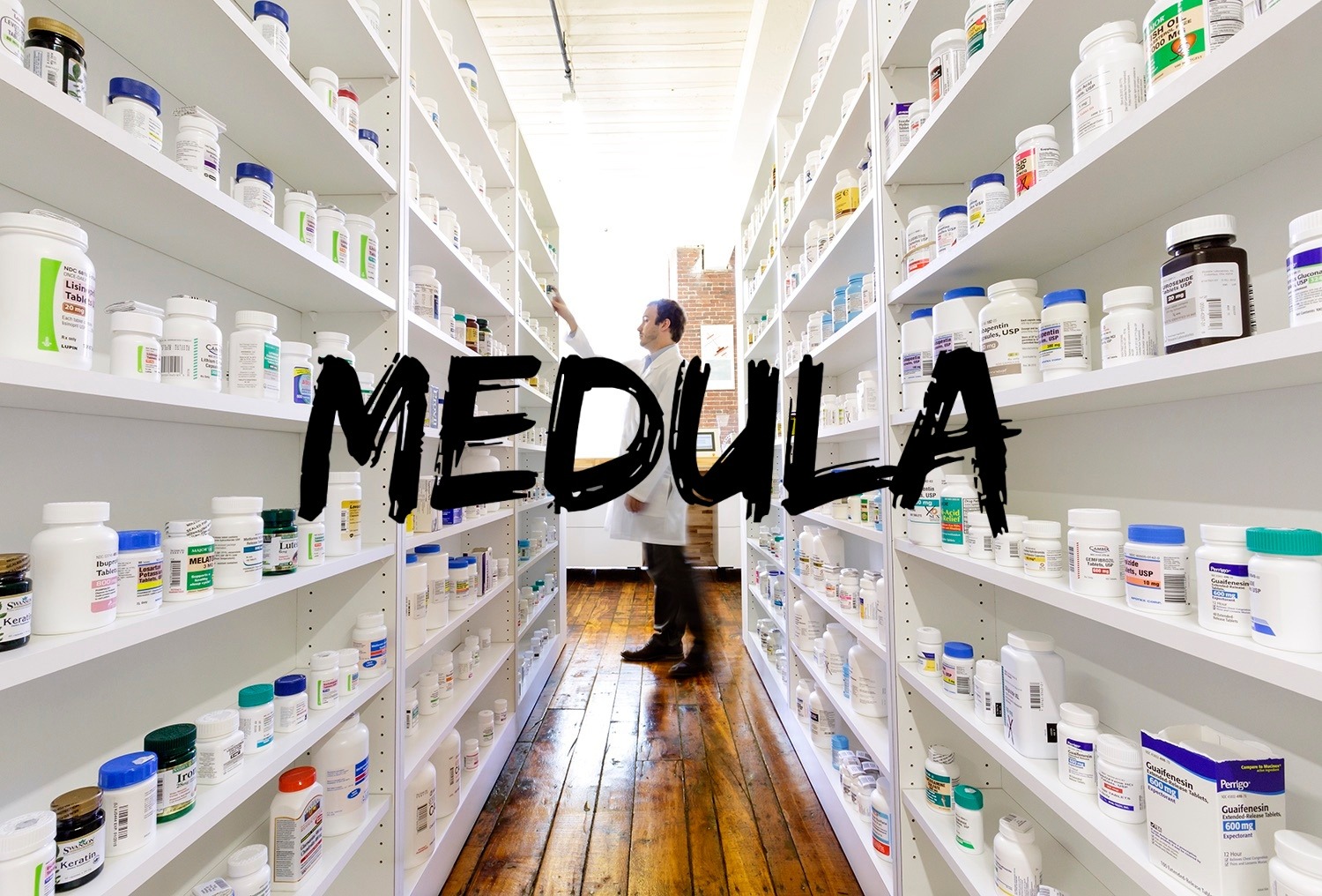 Medula (1)
