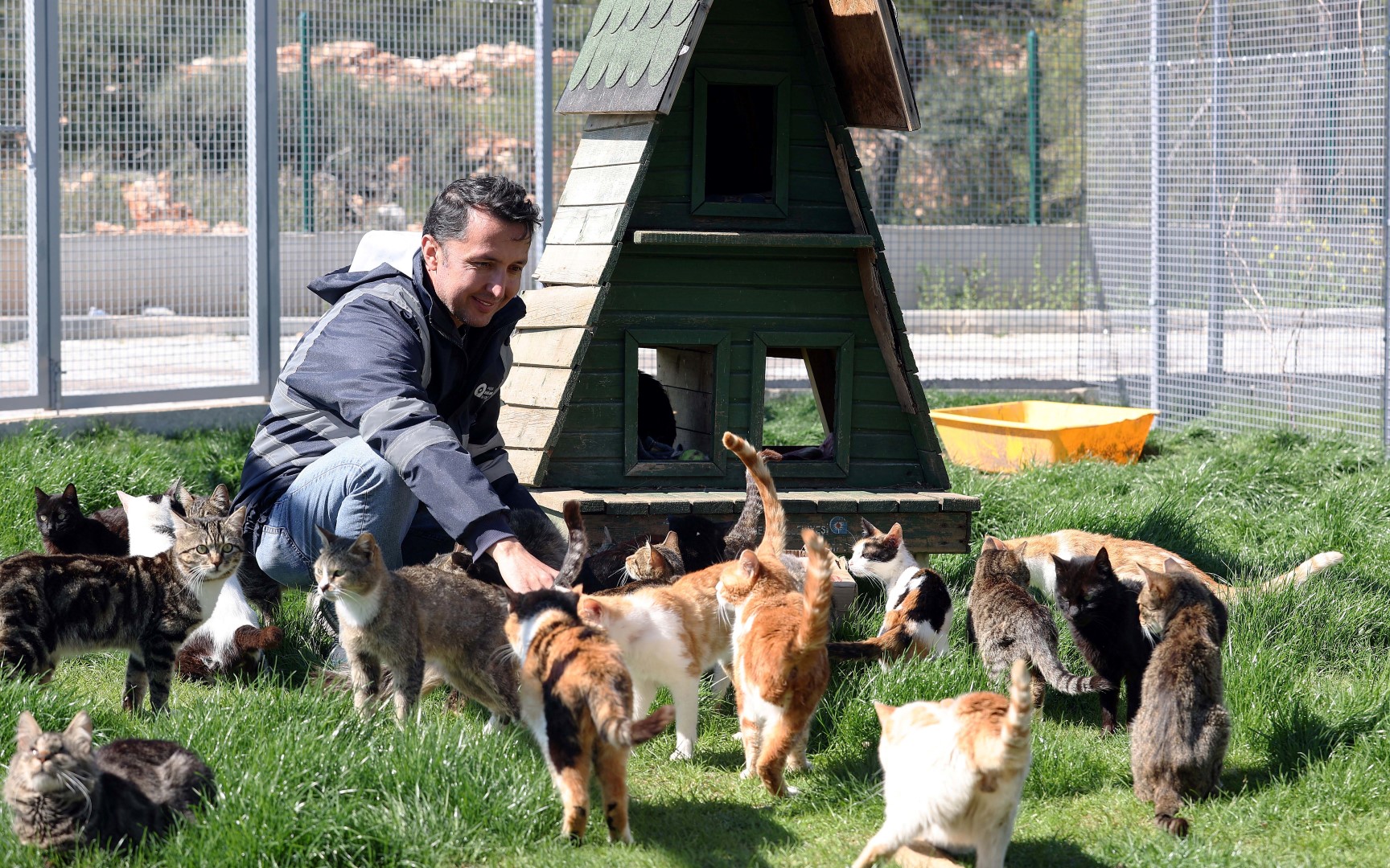 Sahipsiz Canlar Bayramda Ziyaretcilerini (2)