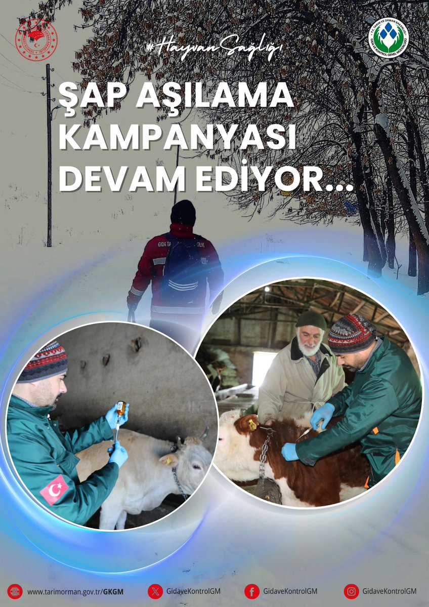Şap Aşılama (1)-1
