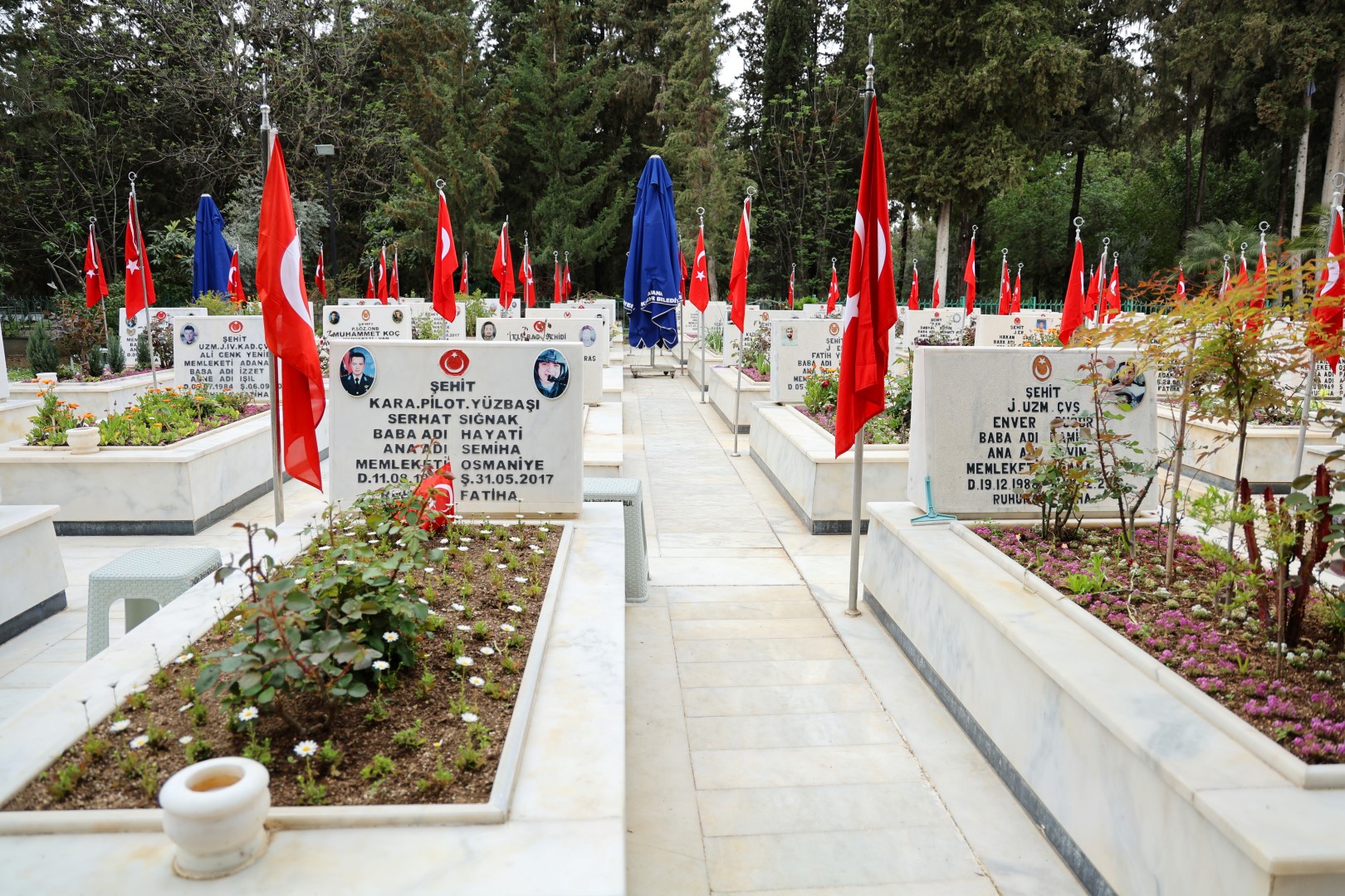 Şehit Annesi (1)