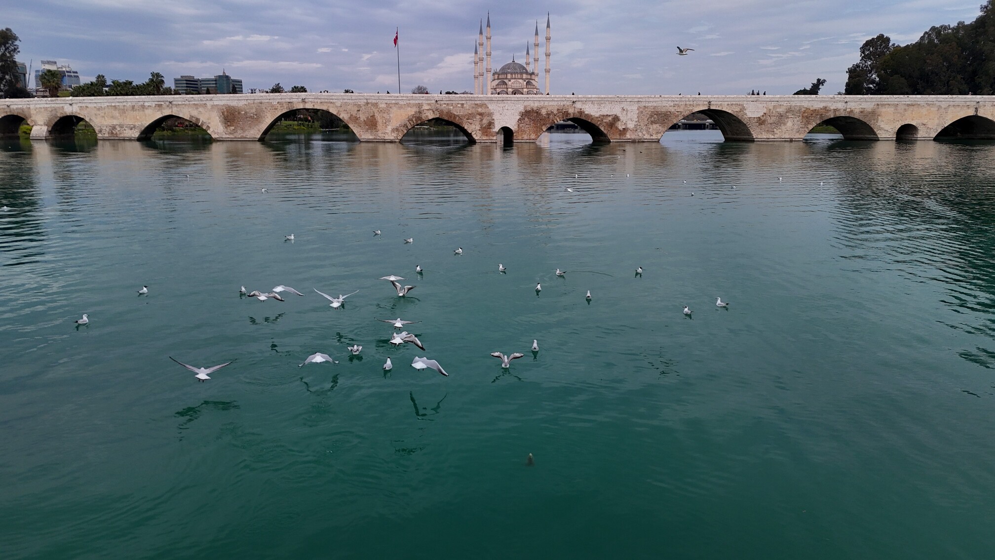 Seyhan Nehri'ne Su Verildi, Eski Ihtişamına Kavuştu (1)