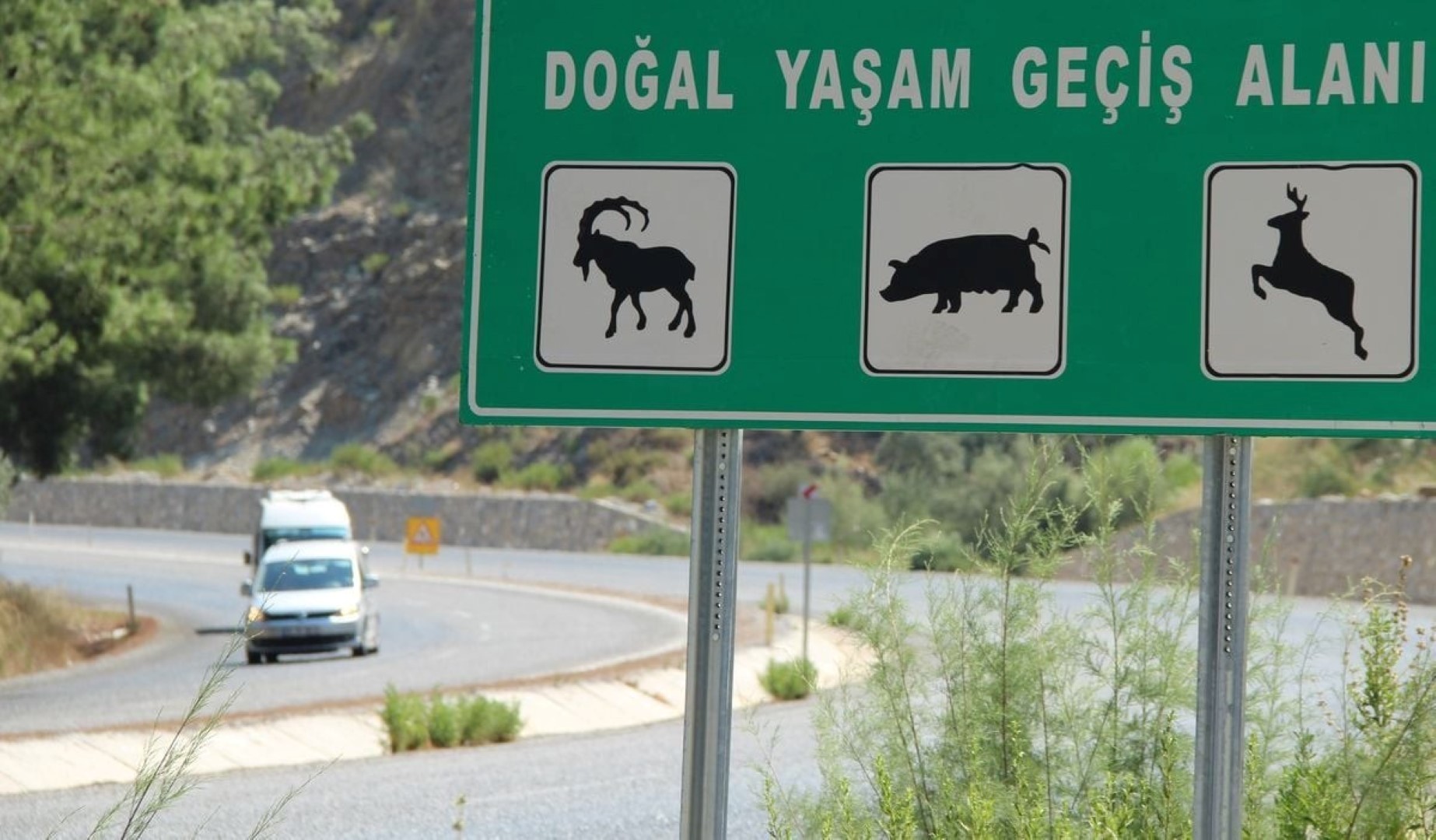 Turizm Karayolu (4)