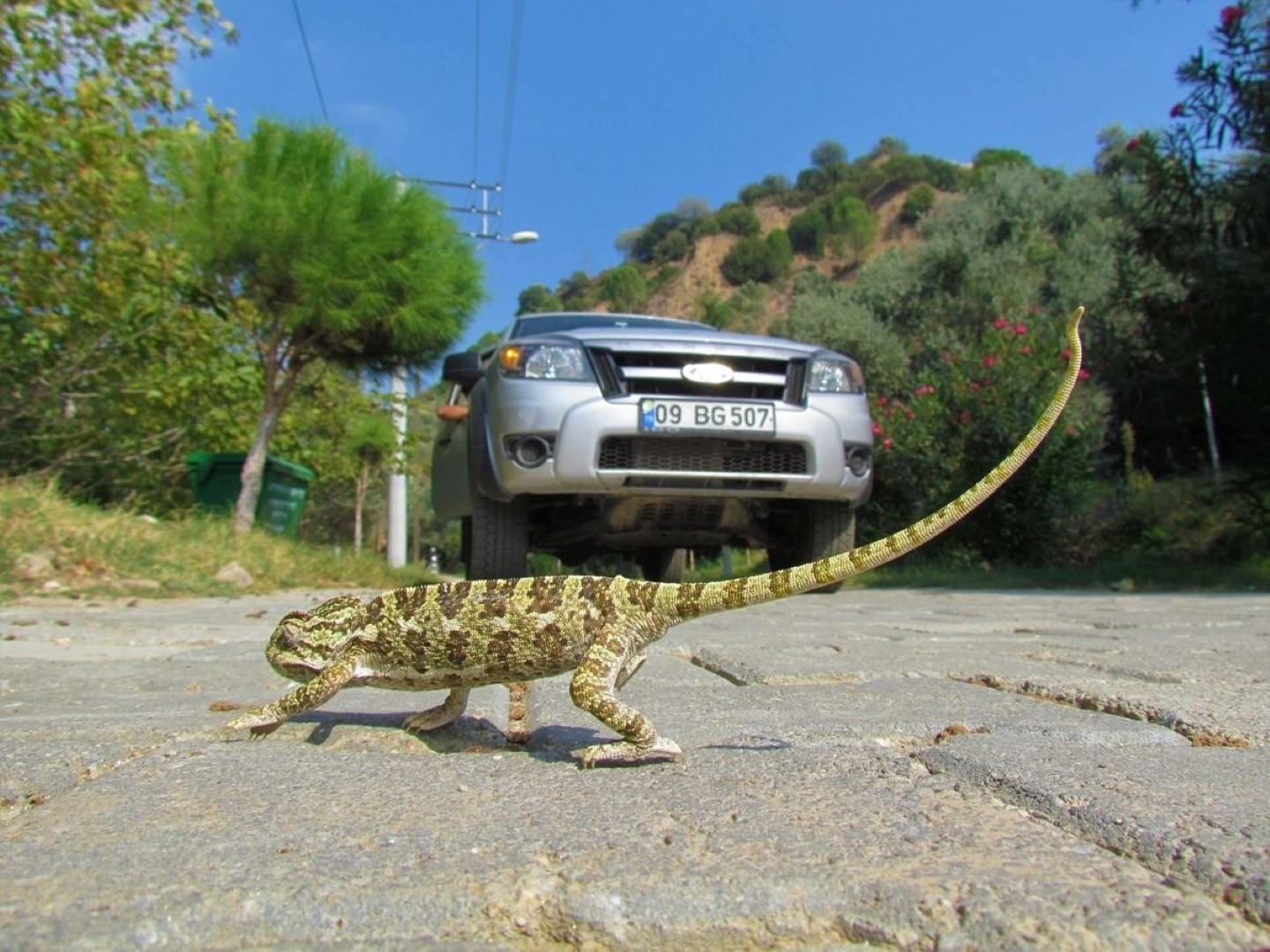 Turizm Karayolu (6)