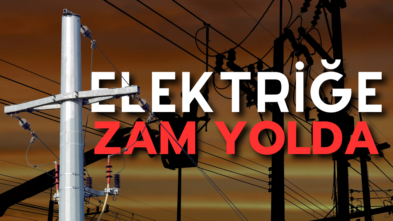 Zam (2)-1
