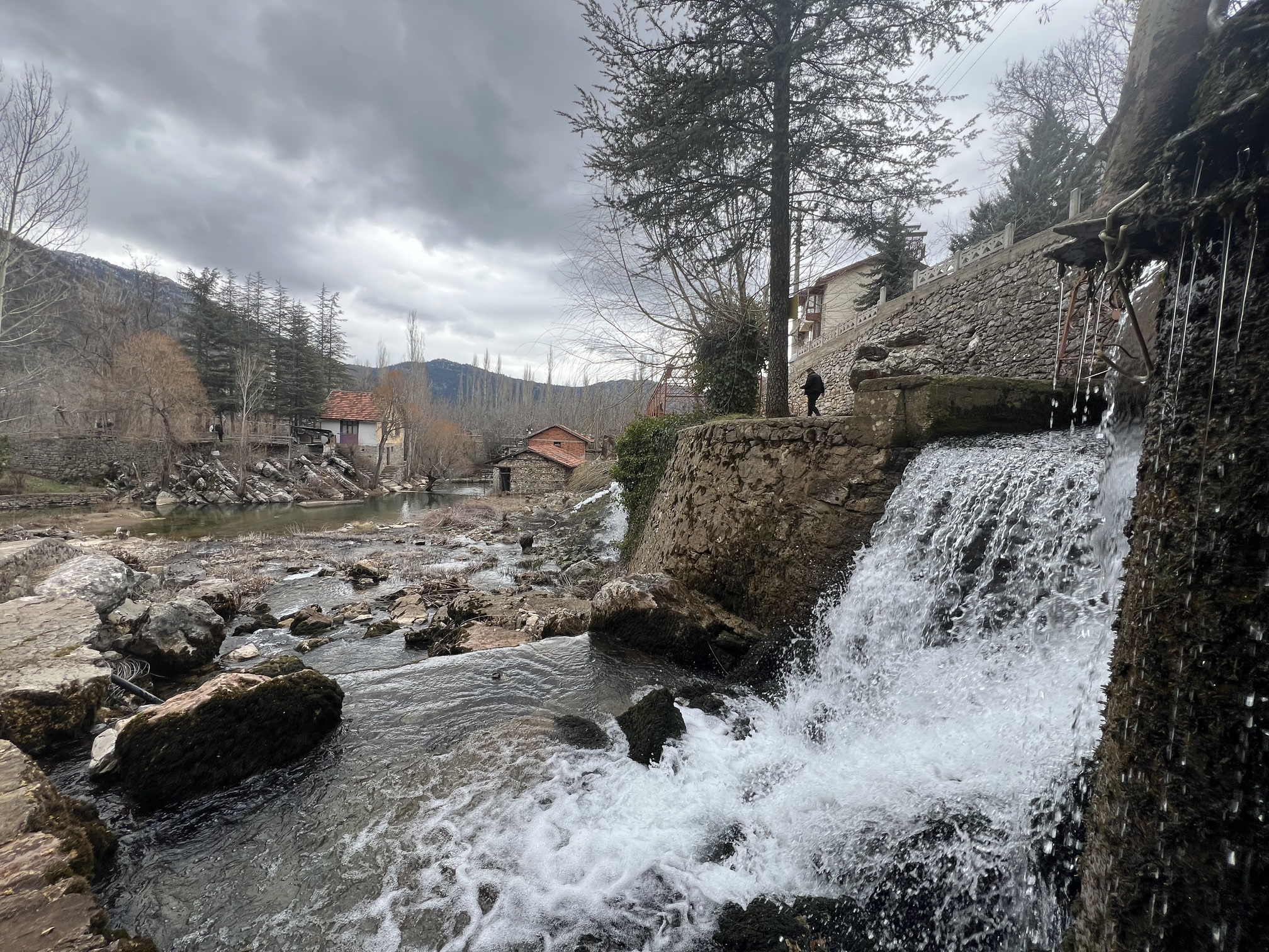 Alabalık Tesisi (3)