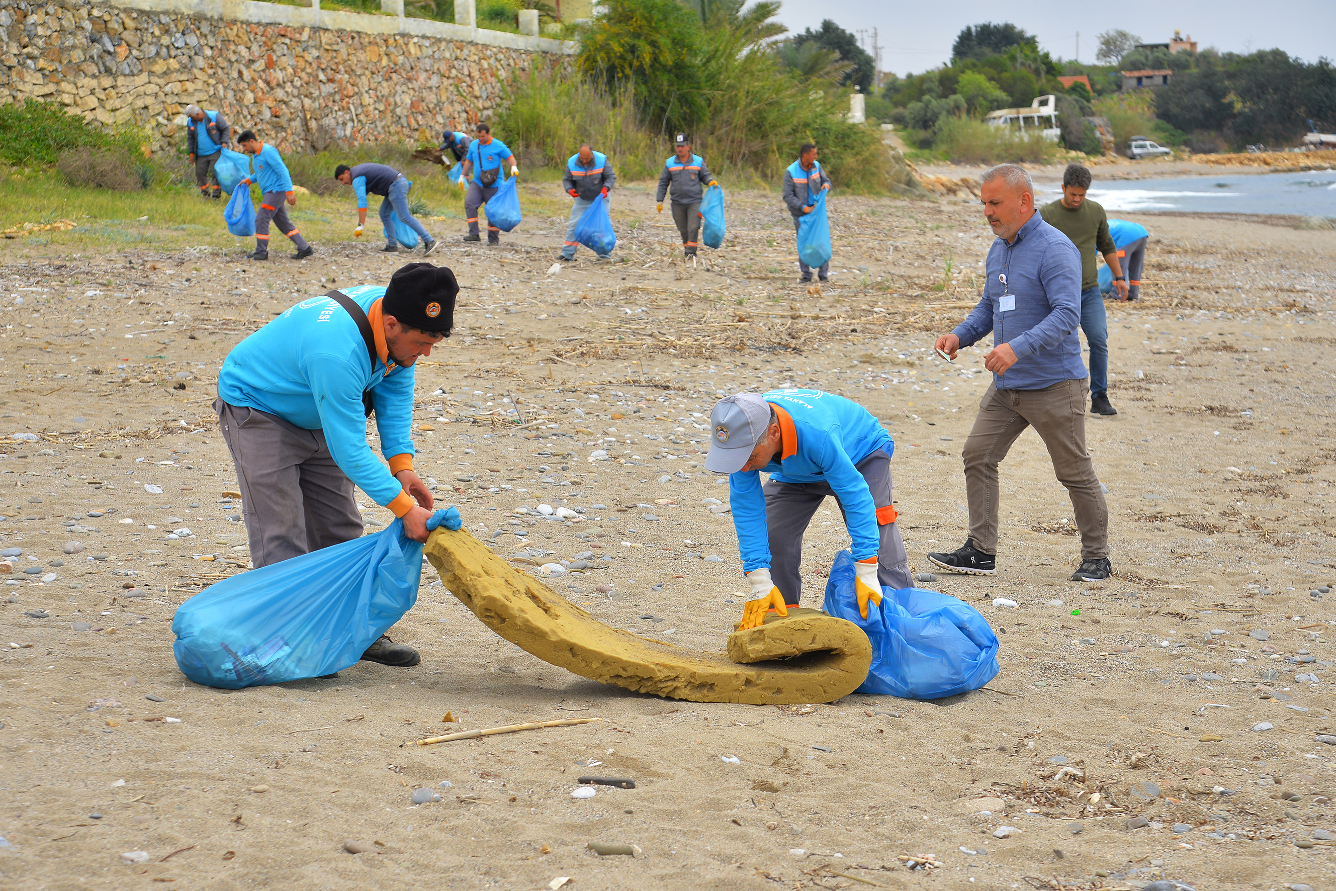 Alanya’da Sahi̇l Temi̇zli̇ği̇ Kum Zambaklari Ve Caretta Carettalar Koruma Altinda (8)