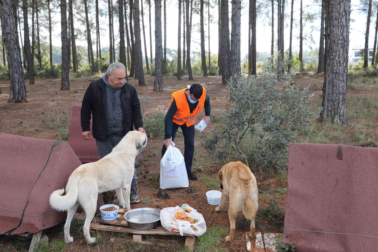 Antalya Buyuksehir Belediyesi Dosemealti Ilcesi Du 1643708720373