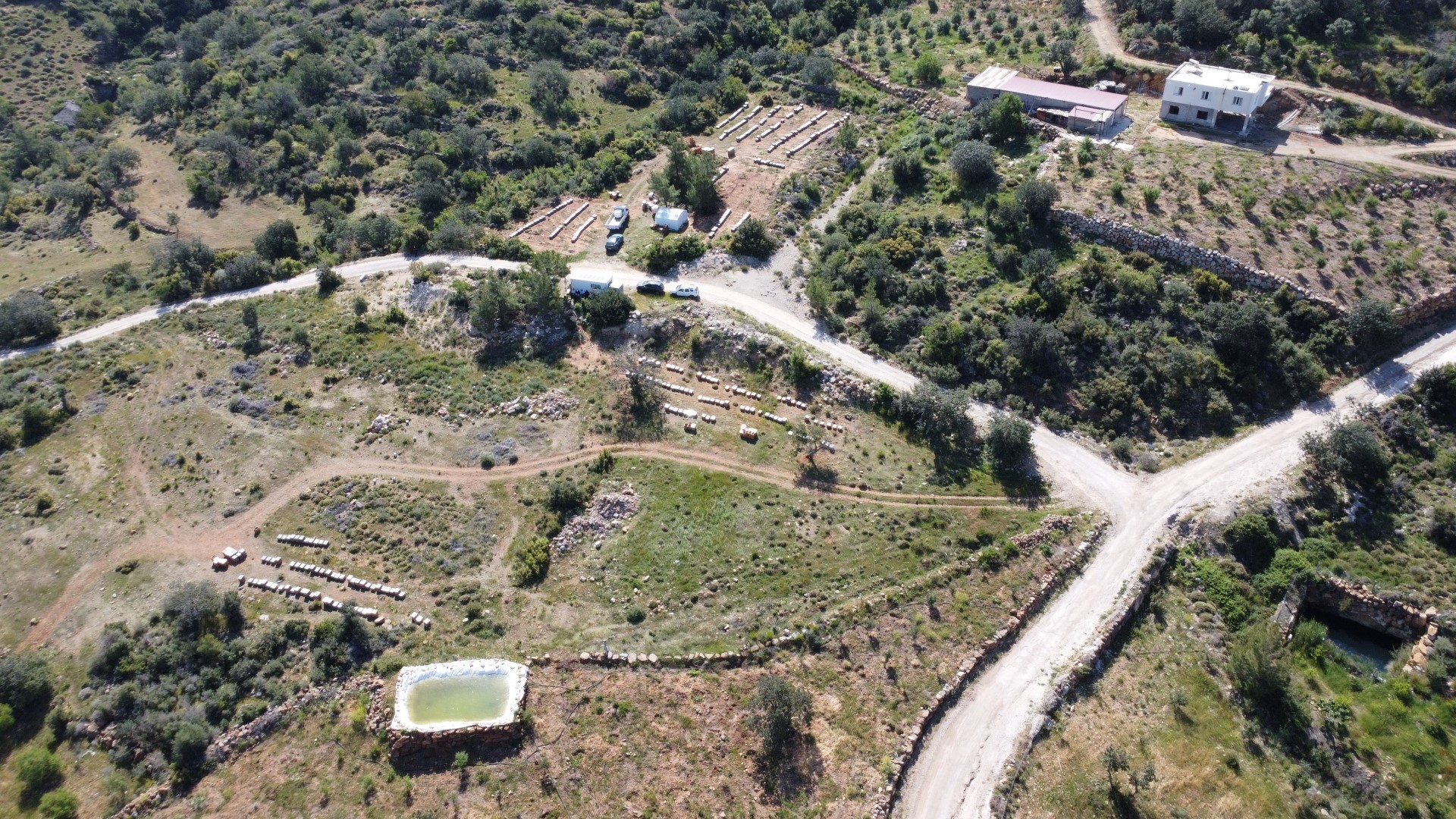 Bahar Meyvesini Verdi Şifa Deposu Polende Hasat Başladı (1) (Large)