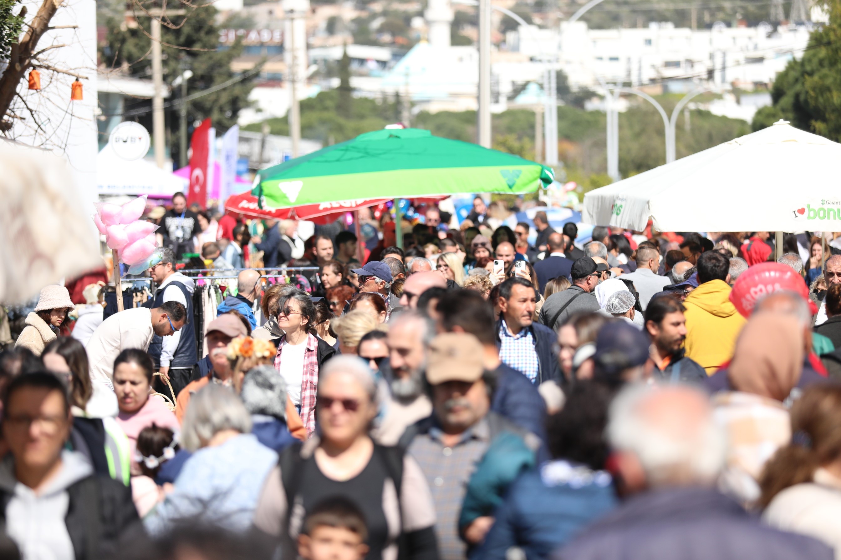 Bodrum'da Acı Ot Festivali'nin 6'Ncısı Düzenlenecek (3)