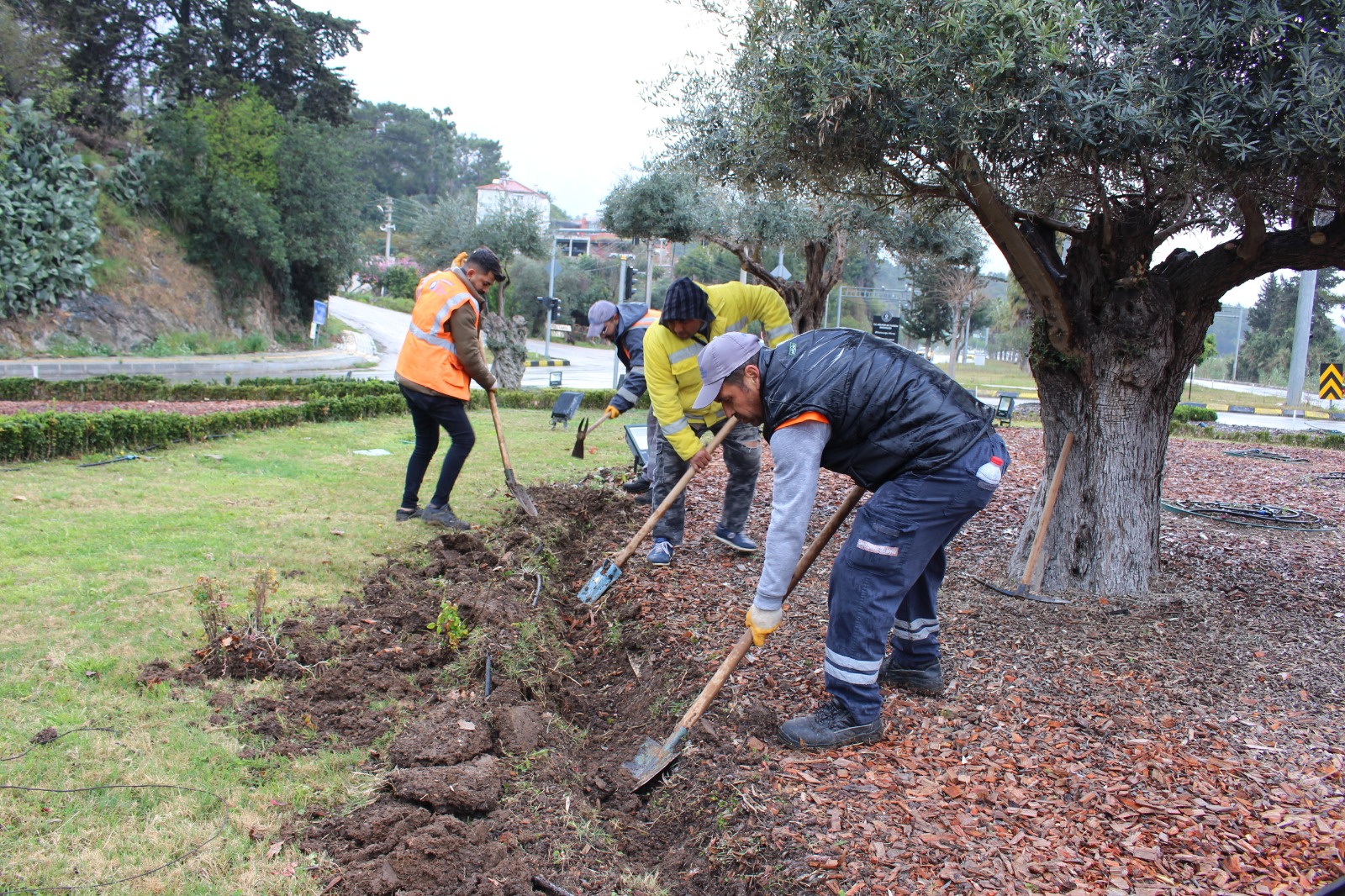 Büyükşehir’den Kemer’de Peyzaj Çalışması (4)