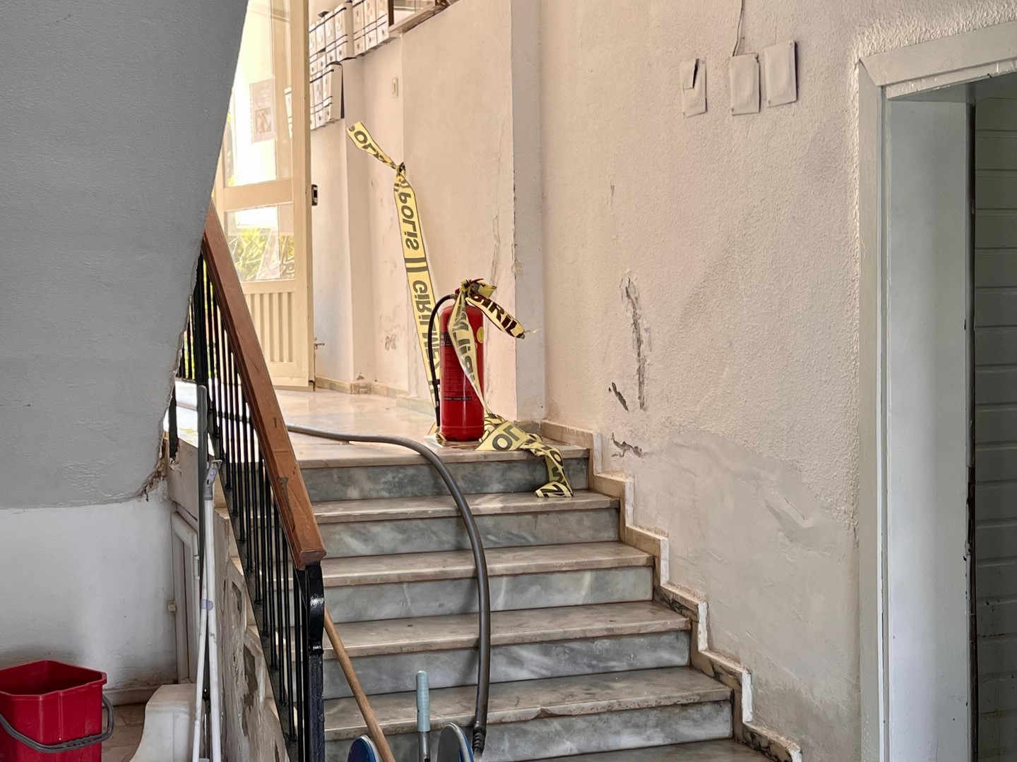 Caninin Cenazesi (1)