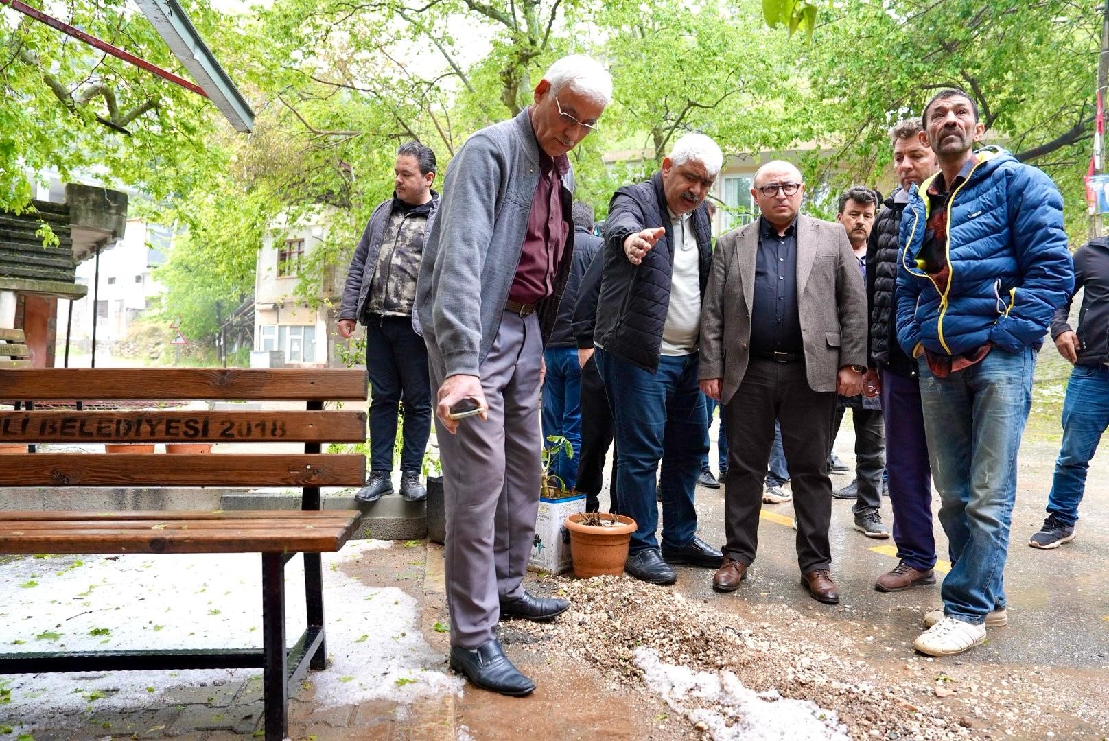 Dev Kaya Yola Düştü, Tarım Alanları Zarar Gördü (1)