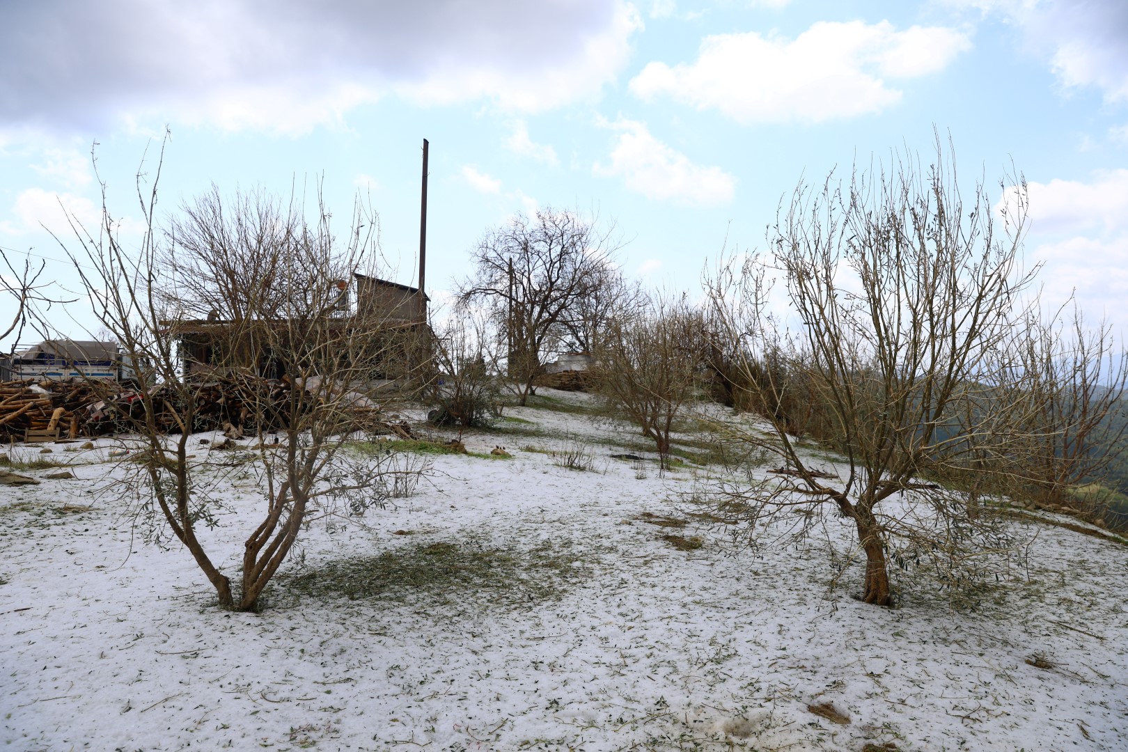 Dolu Mağduru Çiftçilere Büyükşehir’den Destek Eli (3) (Large)